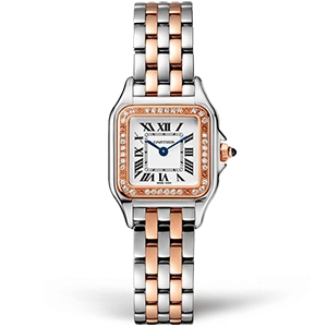 Копия часов Cartier Panthère Secrete Ladies 22 W3PN0006 Арт.CR-0867