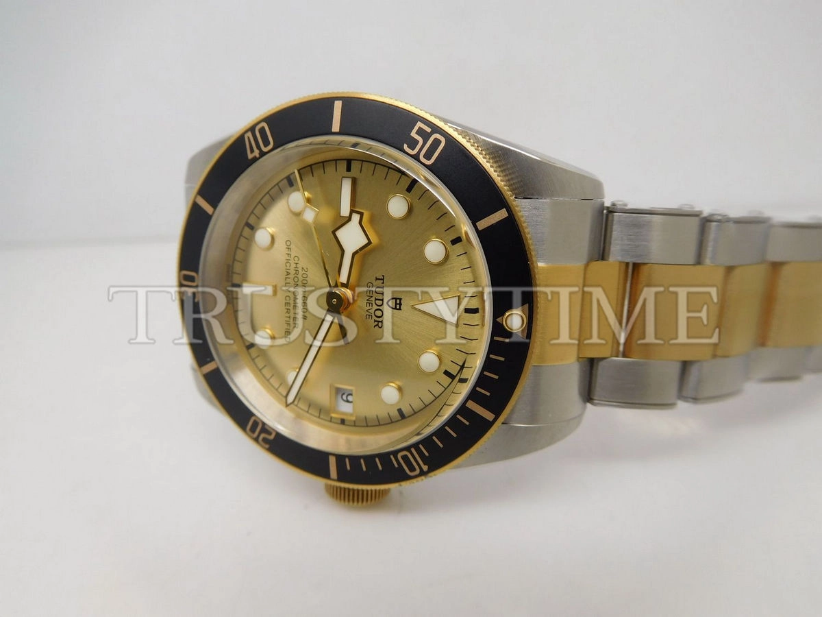 Копия часов Tudor Heritage Black Bay Black S&G 41mm M79733N-0004 Арт.TD-0767