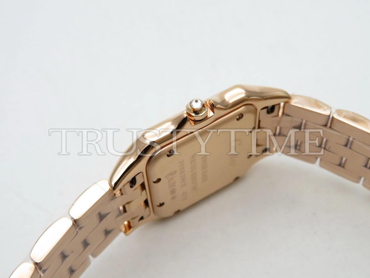 Копия часов Cartier Panthere Secrete De Ladies 27 WJPN0009 Арт.CR-0623