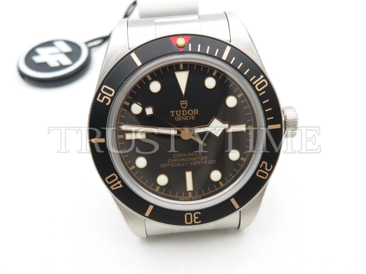Копия часов Tudor Heritage Black Bay 39mm M79230N-0009 Арт.TD-0761