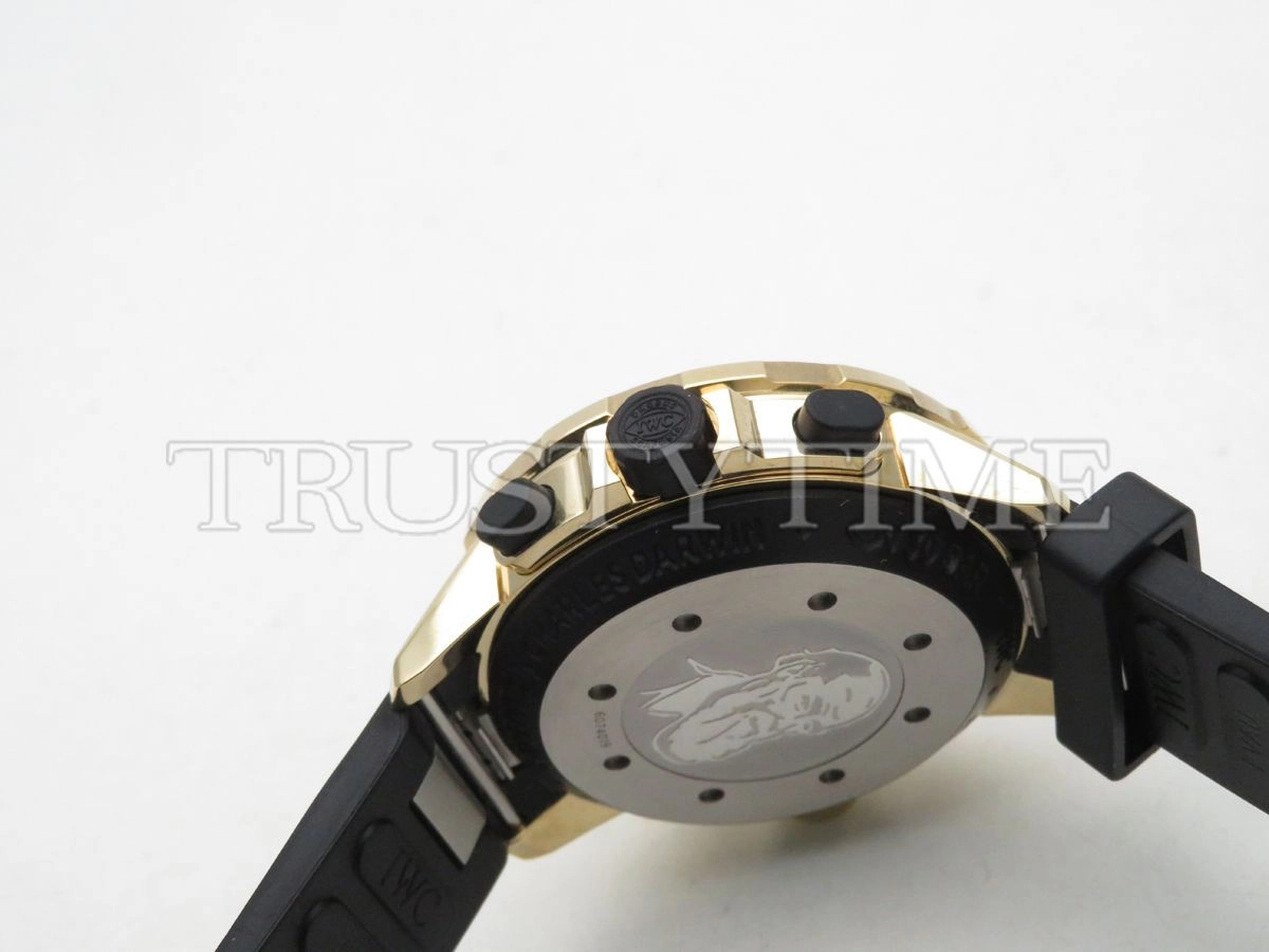 Копия часов IWC Aquatimer Chronograph Bronzo 44mm IW379503 Арт.IW-0752