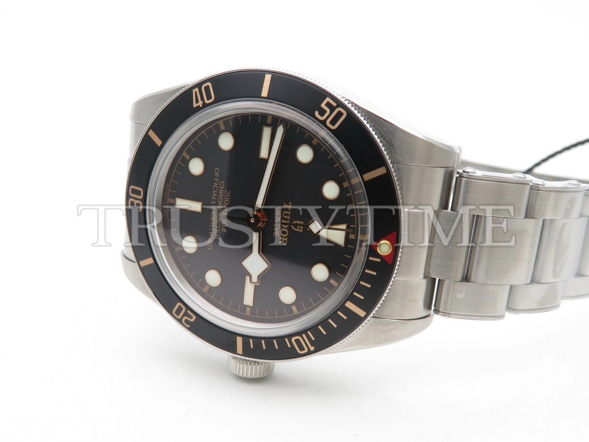Копия часов Tudor Heritage Black Bay 39mm M79230N-0009 Арт.TD-0761