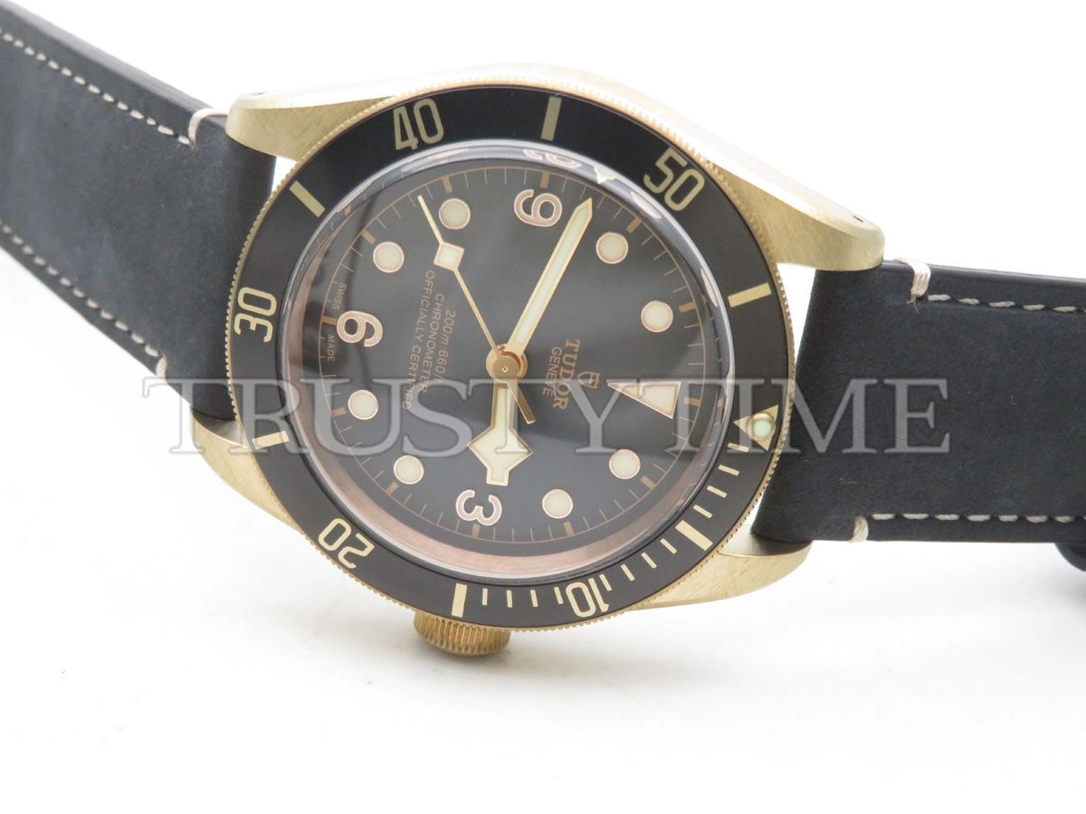 Копия часов Tudor Heritage Black Bay Bronzo 43mm M79250BA-0001 Арт.TD-0799